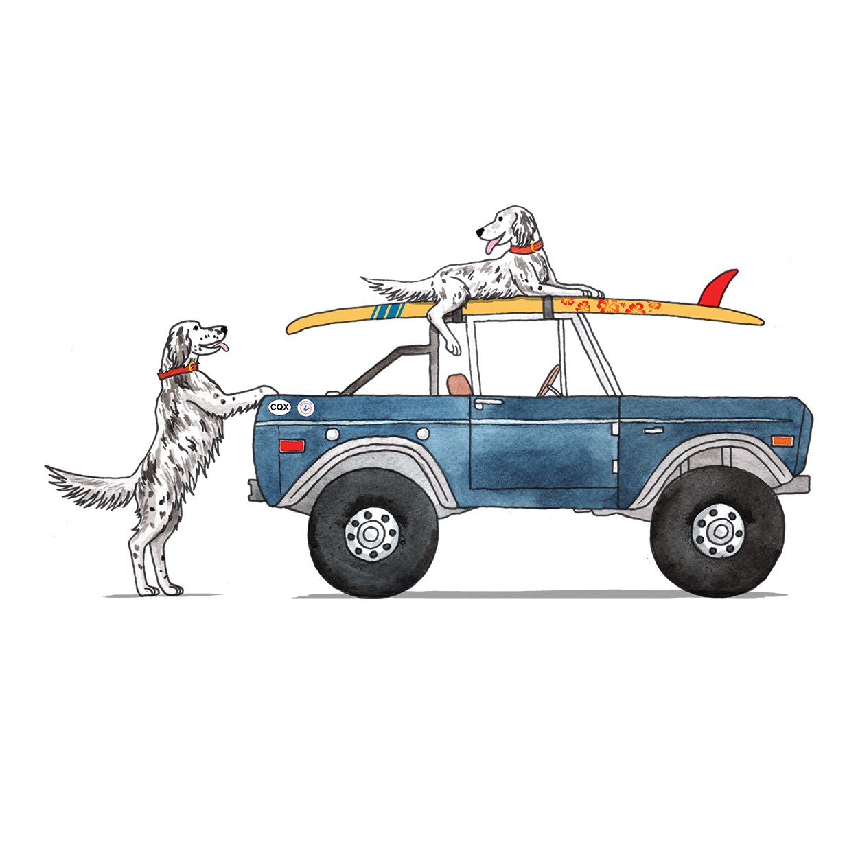 Surf Dogs