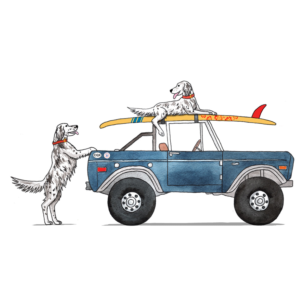Surf Dogs